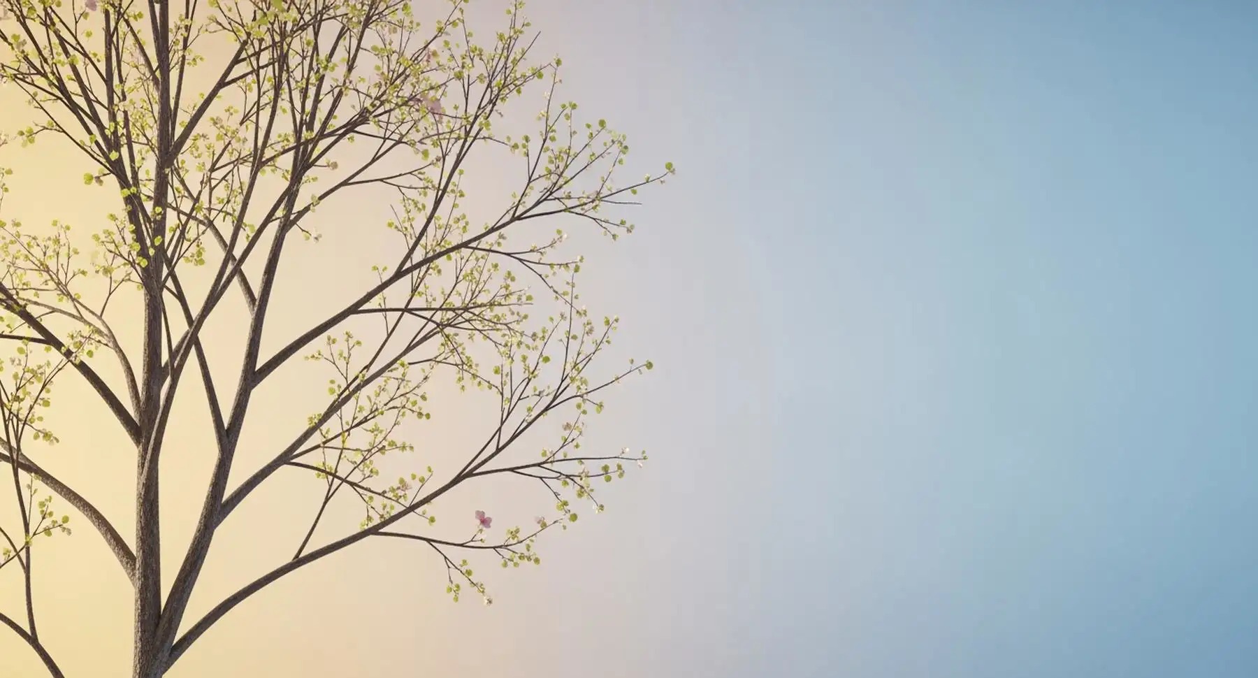 Dad brains: How fatherhood rewires the male mind