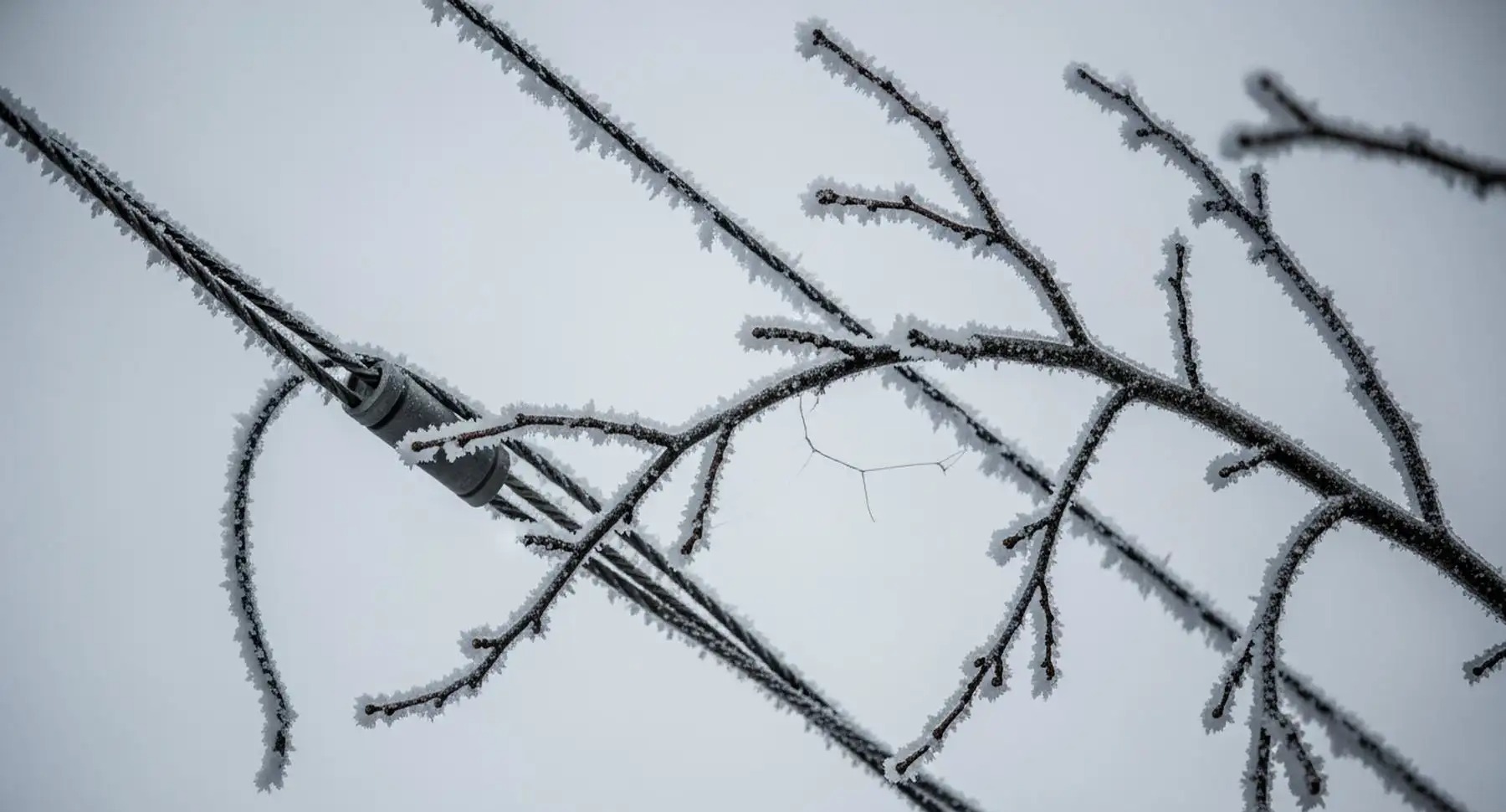 Nashville Ice Storm: Misinformation and Rumors Complicate Recovery Efforts