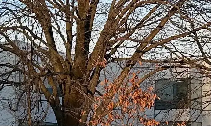 Minnesota jury says Johnson & Johnson owes $65.5 million to woman with cancer who used talcum powder