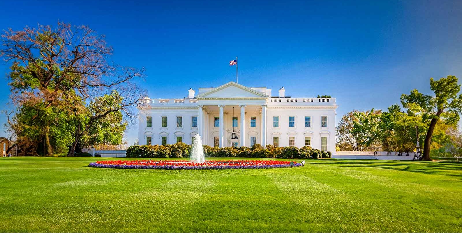 How Trump's recent actions are affecting his support among young voters