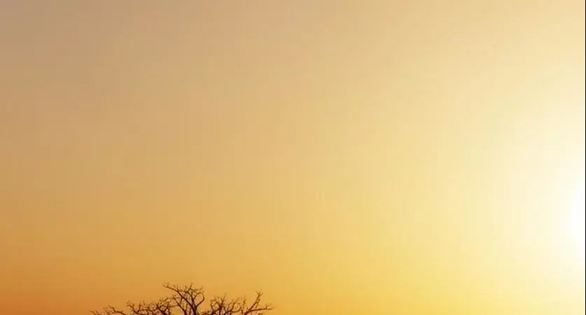 Record-Breaking Heatwave in US West Linked to Climate Crisis