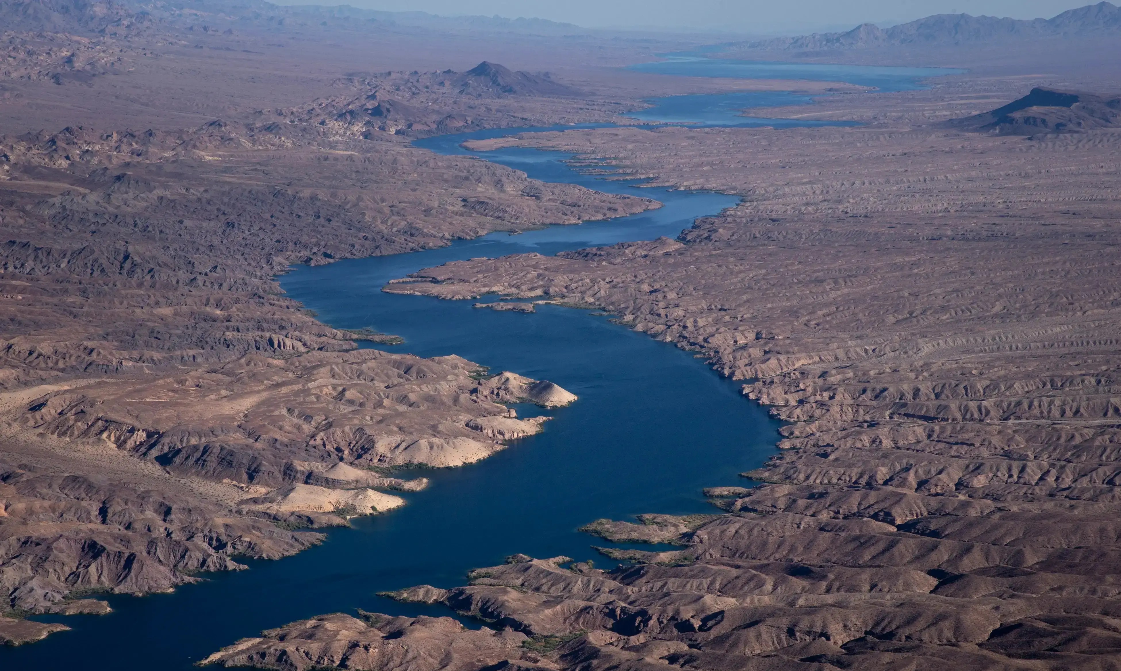 VIDEO | Trash to treasure: Johannesburg's river waste transformed into art