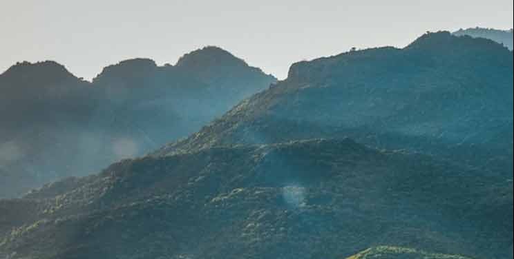 Pakistan arrests 4 militants in connection to suicide bombing at Islamabad court