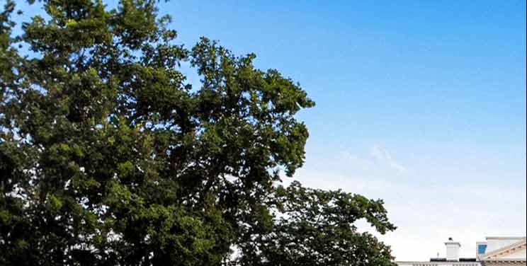 The US will restrict visas for Nigerians and their families involved in violence against Christians