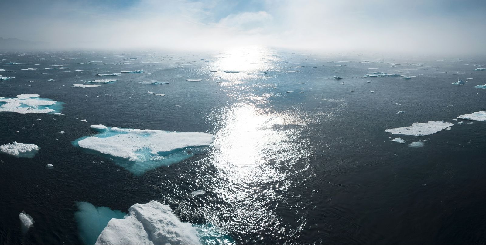 VIDEO | Climate change blamed for Earth sizzling to near-record heat in 2025