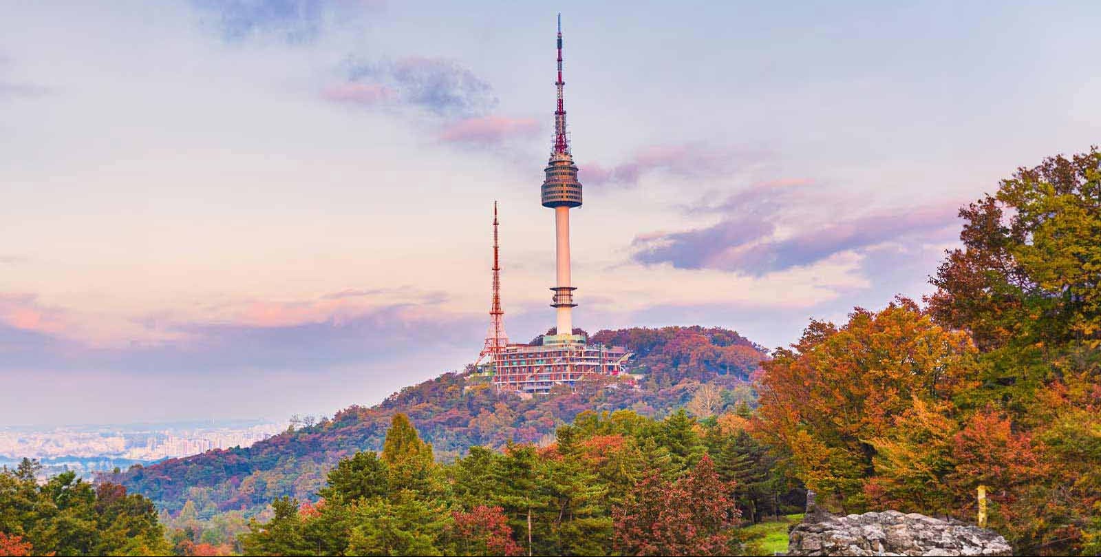 VIDEO | South Korean growers sue state power utility, blaming climate change for crop damage