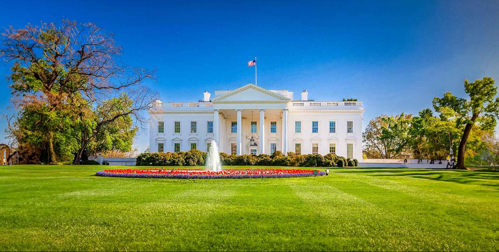 Trump signs a law returning whole milk to school lunches