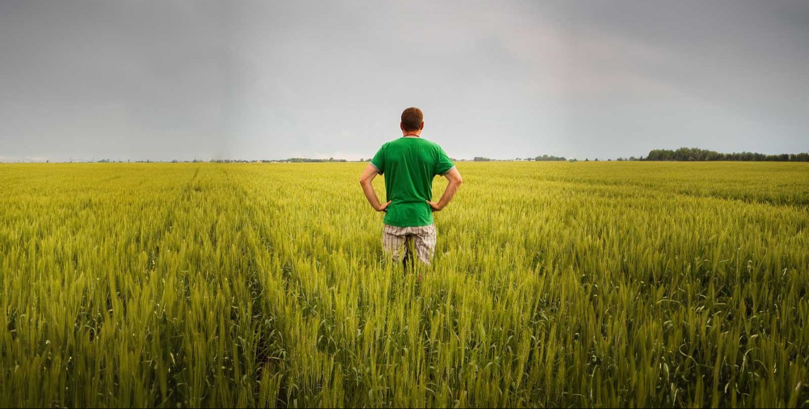 Trump wants to keep farmers happy with cash. They're still worried about the future