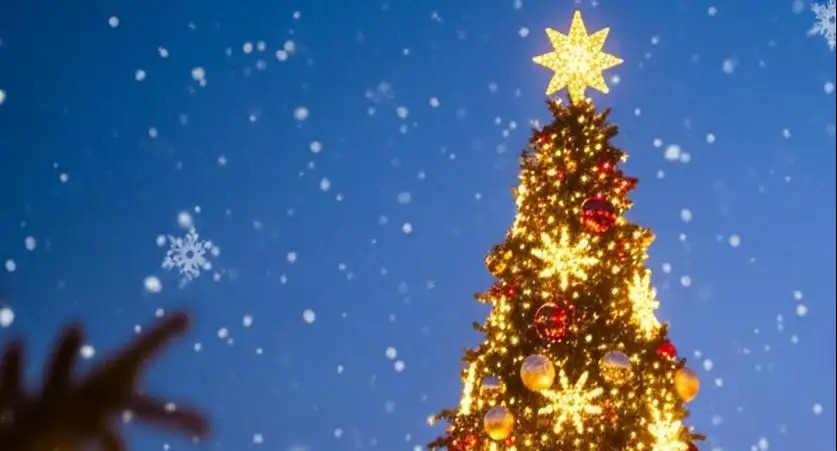 VIDEO | Hundreds flock to see Bethlehem Christmas tree lit up for first time since start of Gaza war