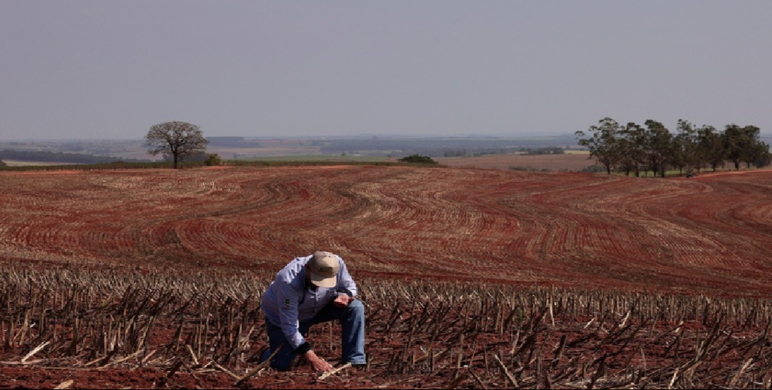 VIDEO | Brazilian farmers beef up soybeans production as China halts business with U.S. amid tariff hike