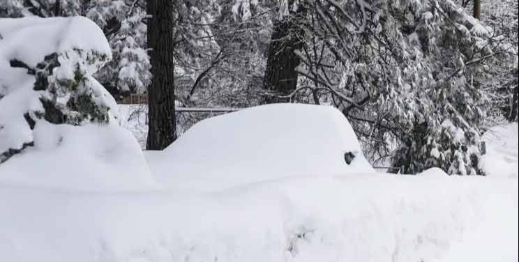 Eating snow cones or snow cream can be a winter delight, if done safely