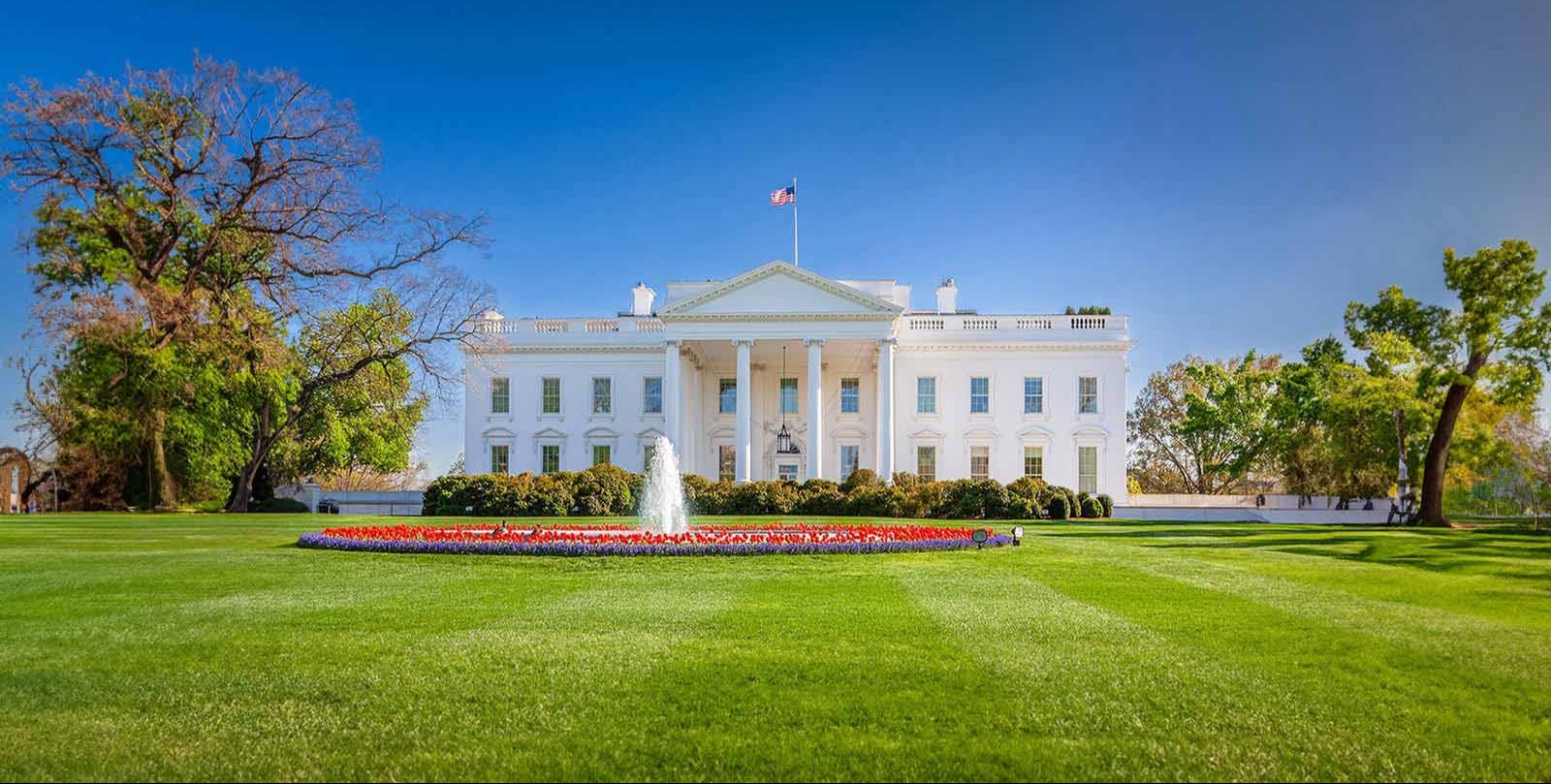 White House chief of staff Susie Wiles has breast cancer but will keep working through treatment