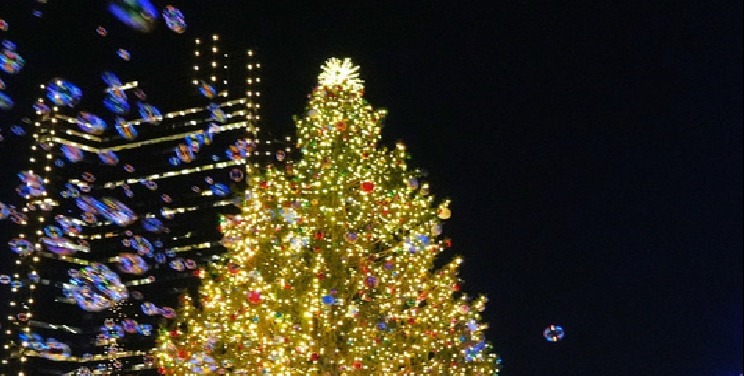 VIDEO | "Lightscape" art installations draw nightly crowds to San Francisco's Golden Gate Park