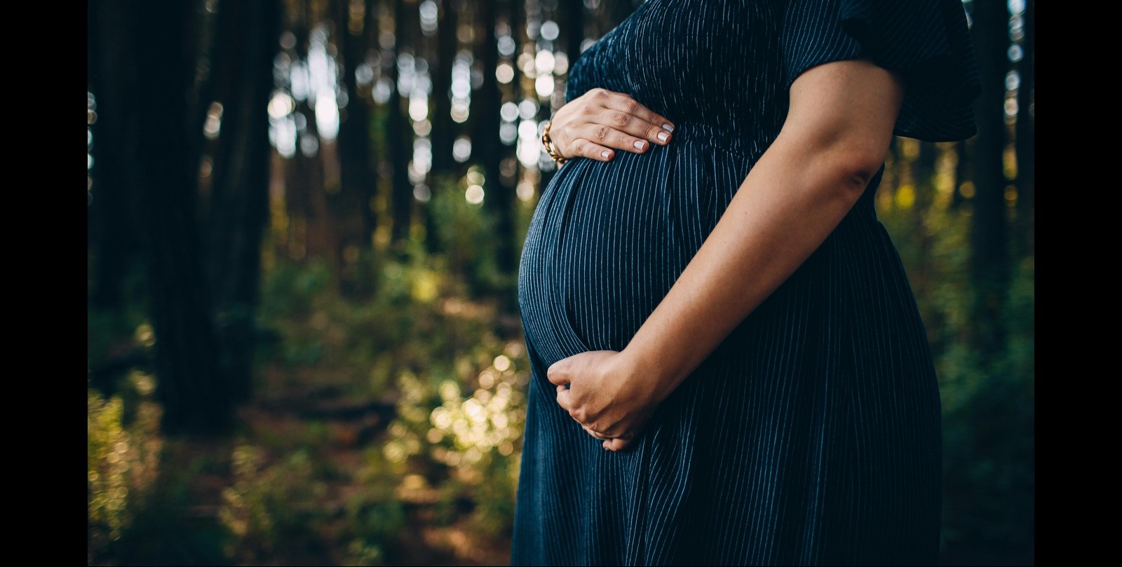 VIDEO | Artificial womb could reshape care for extremely premature babies