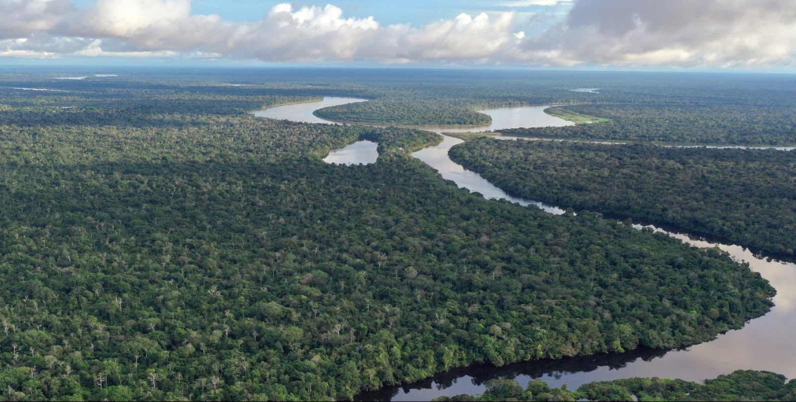 Brazil's Lula puts forward new vision for protecting the Amazon rainforest