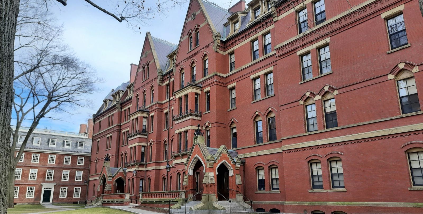 VIDEO | Harvard opens new probe into ex-president Larry Summers after release of Epstein emails