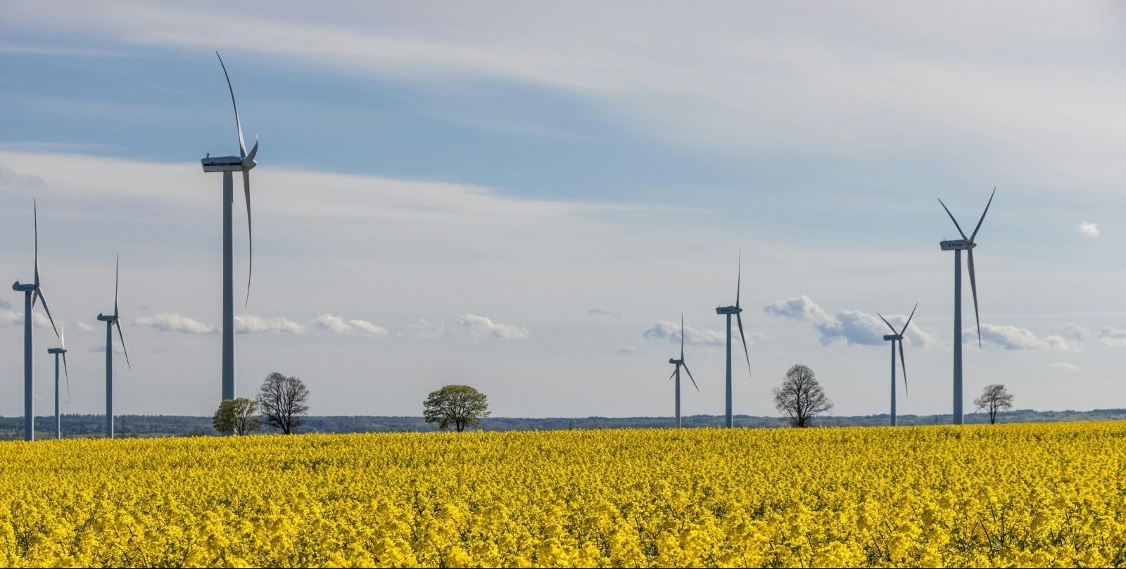 VIDEO | Wind companies are fighting Trump in court. Here’s why.