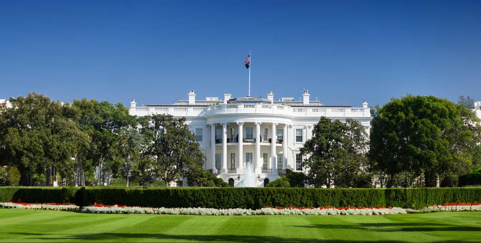 'The ultimate insult': Trump downplaying NATO's Afghanistan involvement causes distress in UK