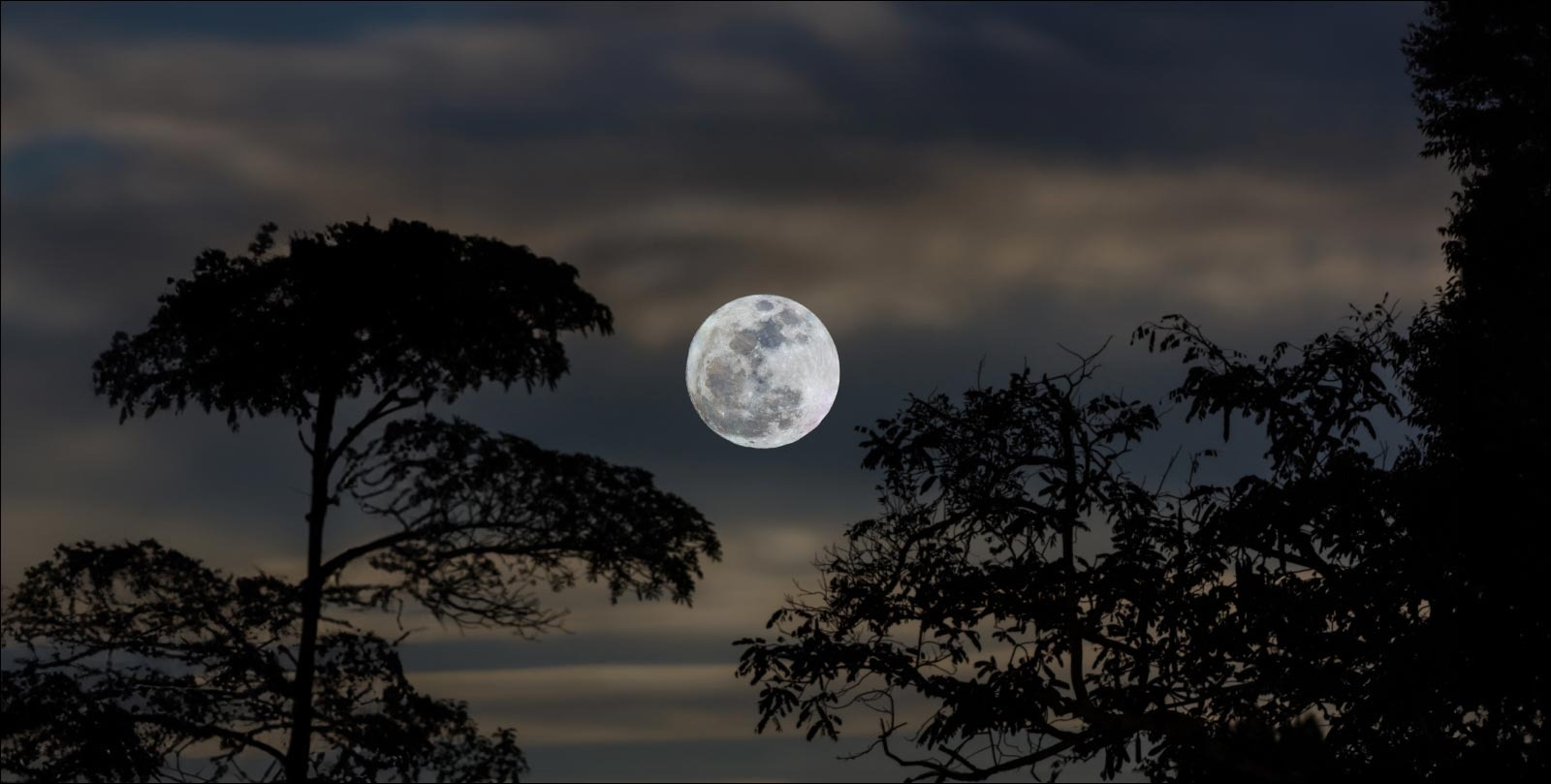VIDEO | Skies over the world glow with the largest supermoon of 2025