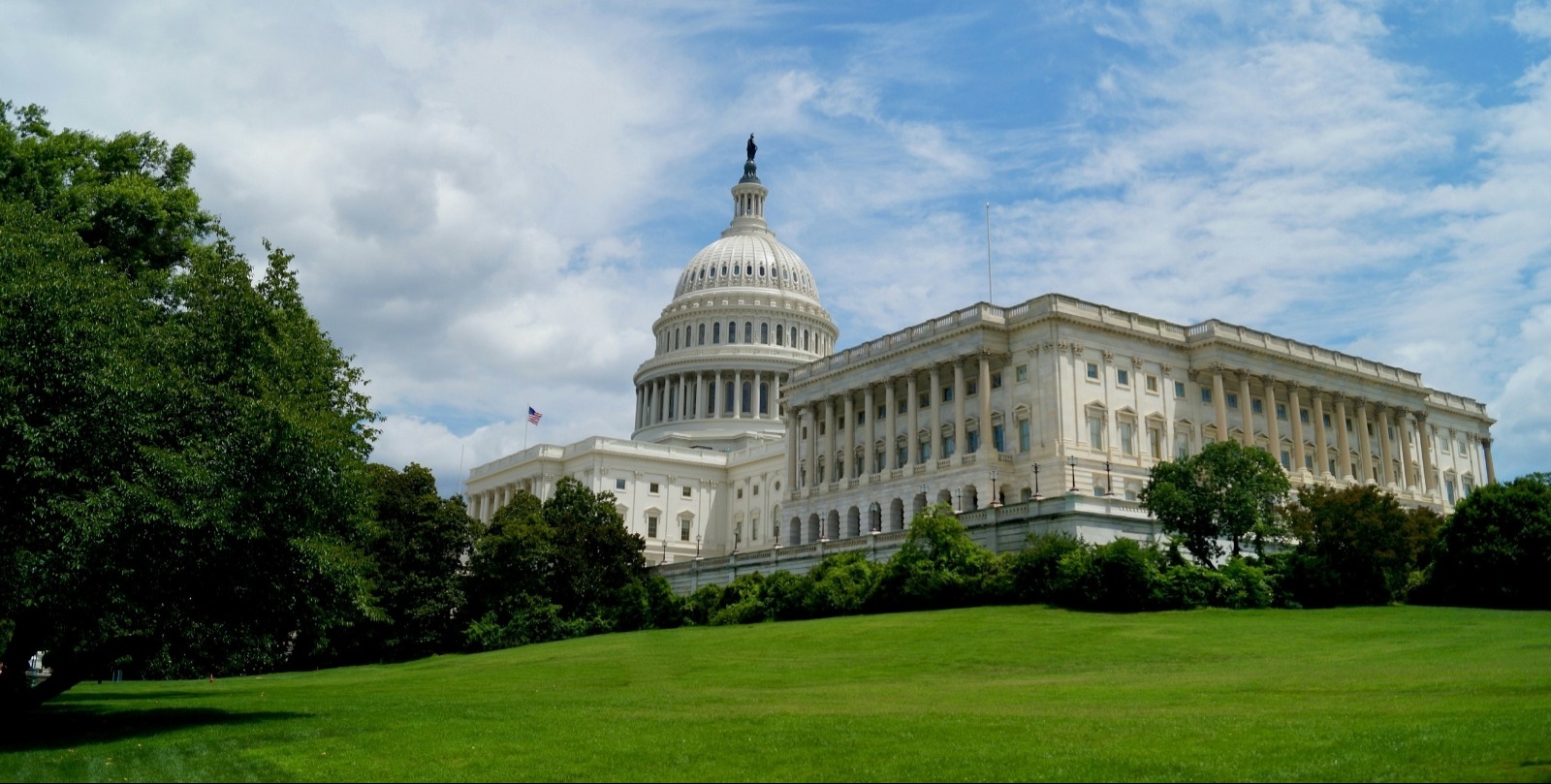 VIDEO | US Capitol's Christmas tree arrives from Nevada's Humboldt-Toiyabe Forest