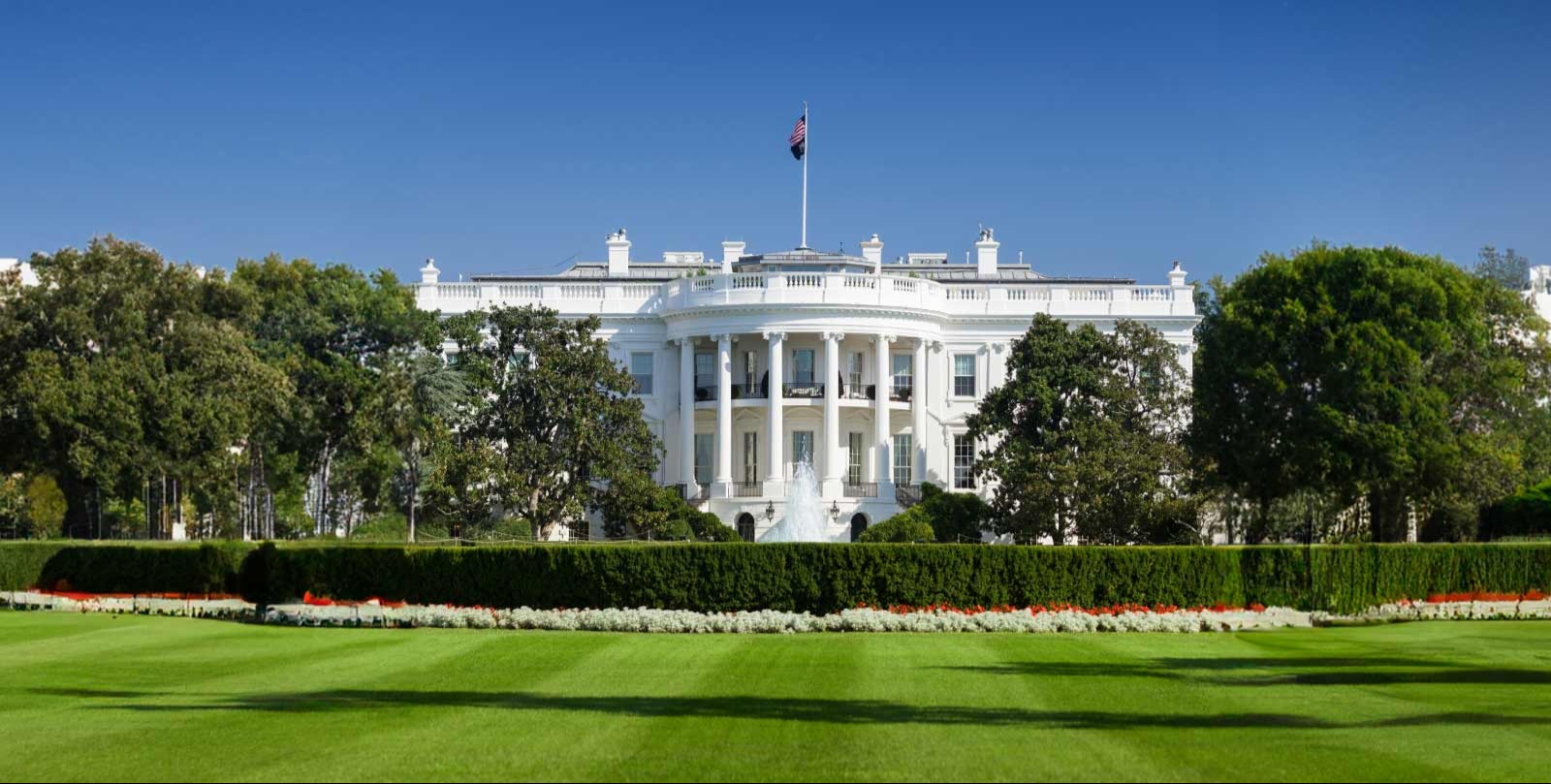 VIDEO | Historian 'devastated' by White House East Wing demolition