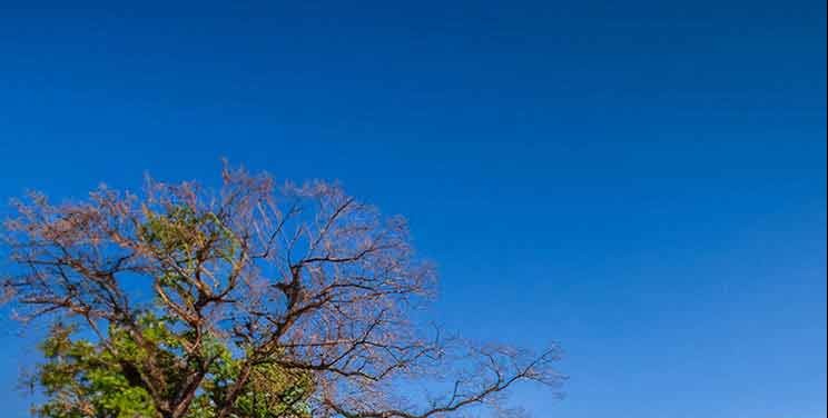 FACT FOCUS: As cold hits, Trump asks, where's global warming? Scientists say it's still here