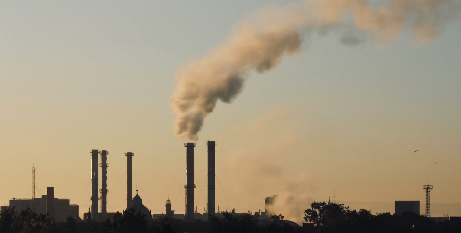 VIDEO | UN says world must jointly tackle issues of climate change, pollution, biodiversity and land loss