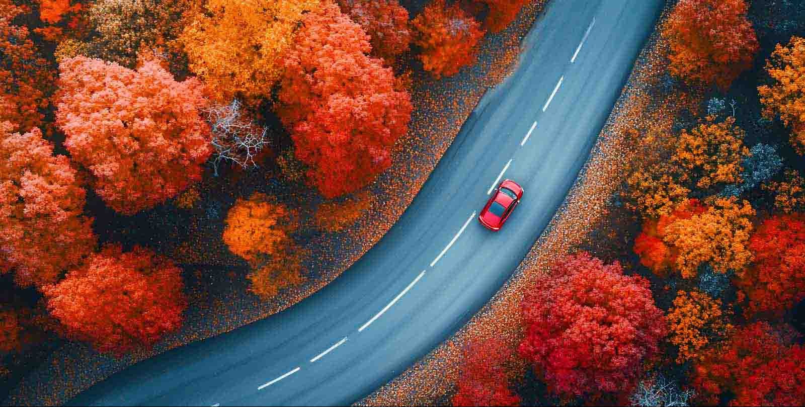 Essential Packing Tips for Your Next Autumn Getaway