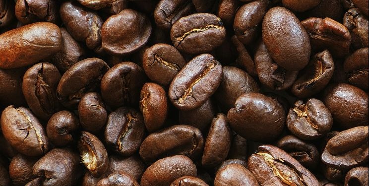 VIDEO | 'No contracts, no coffee.' Starbucks workers kick off 65-store US strike on busy Red Cup Day