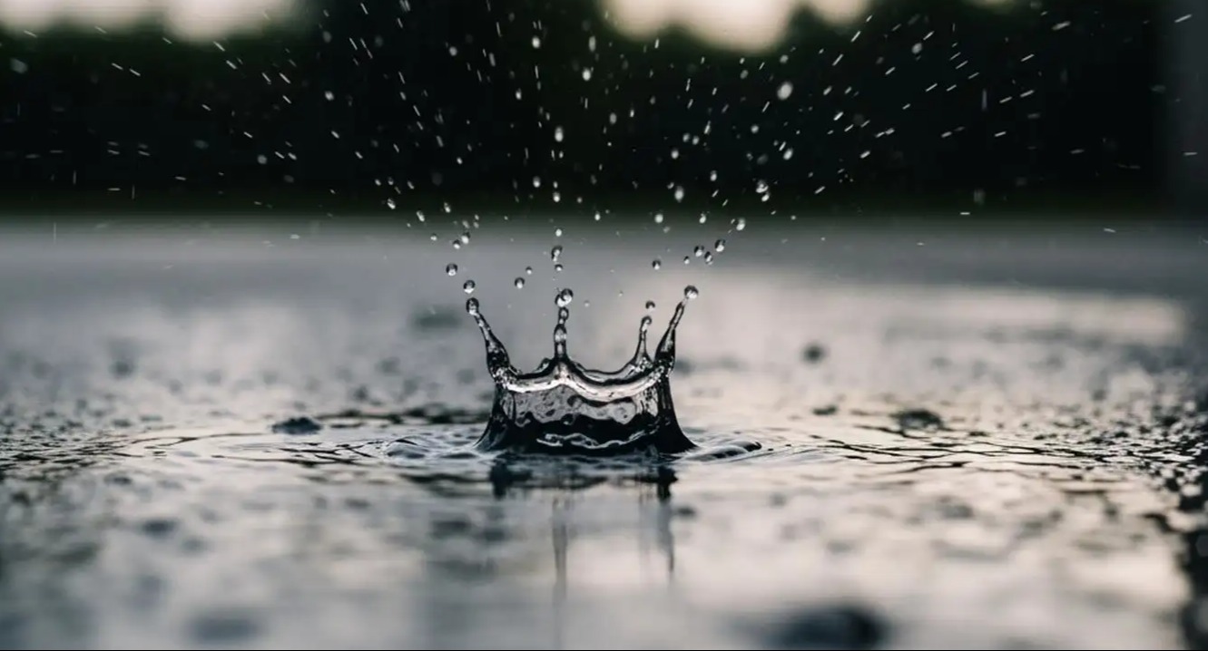 Heavy Rain Expected in New South Wales on Sunday