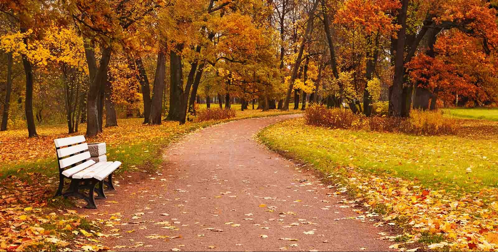 Breathe In Fall: Enjoy Serene September Evening Walks Outdoors