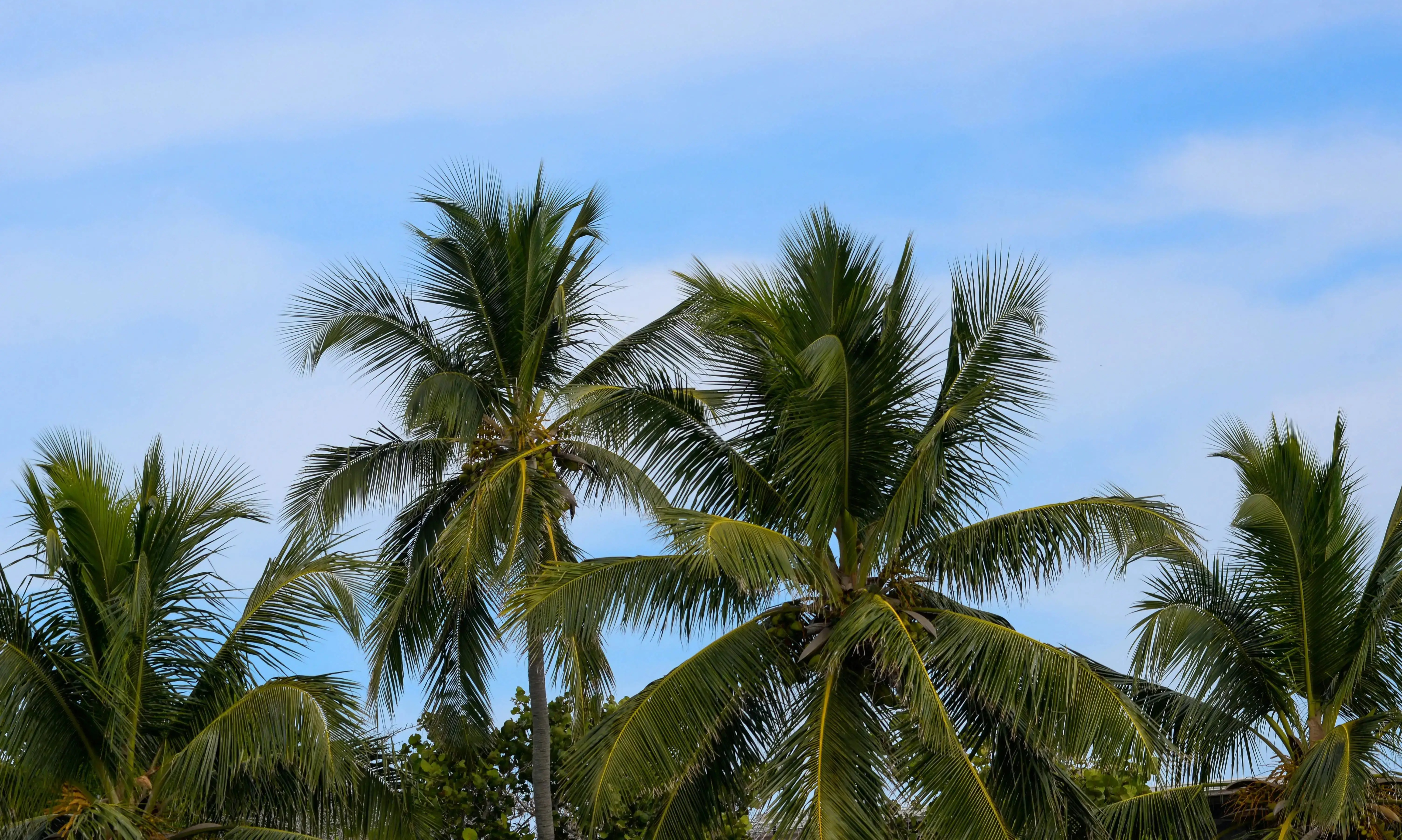 Florida Feels The Fall Vibe With Crisp, Breezy Conditions