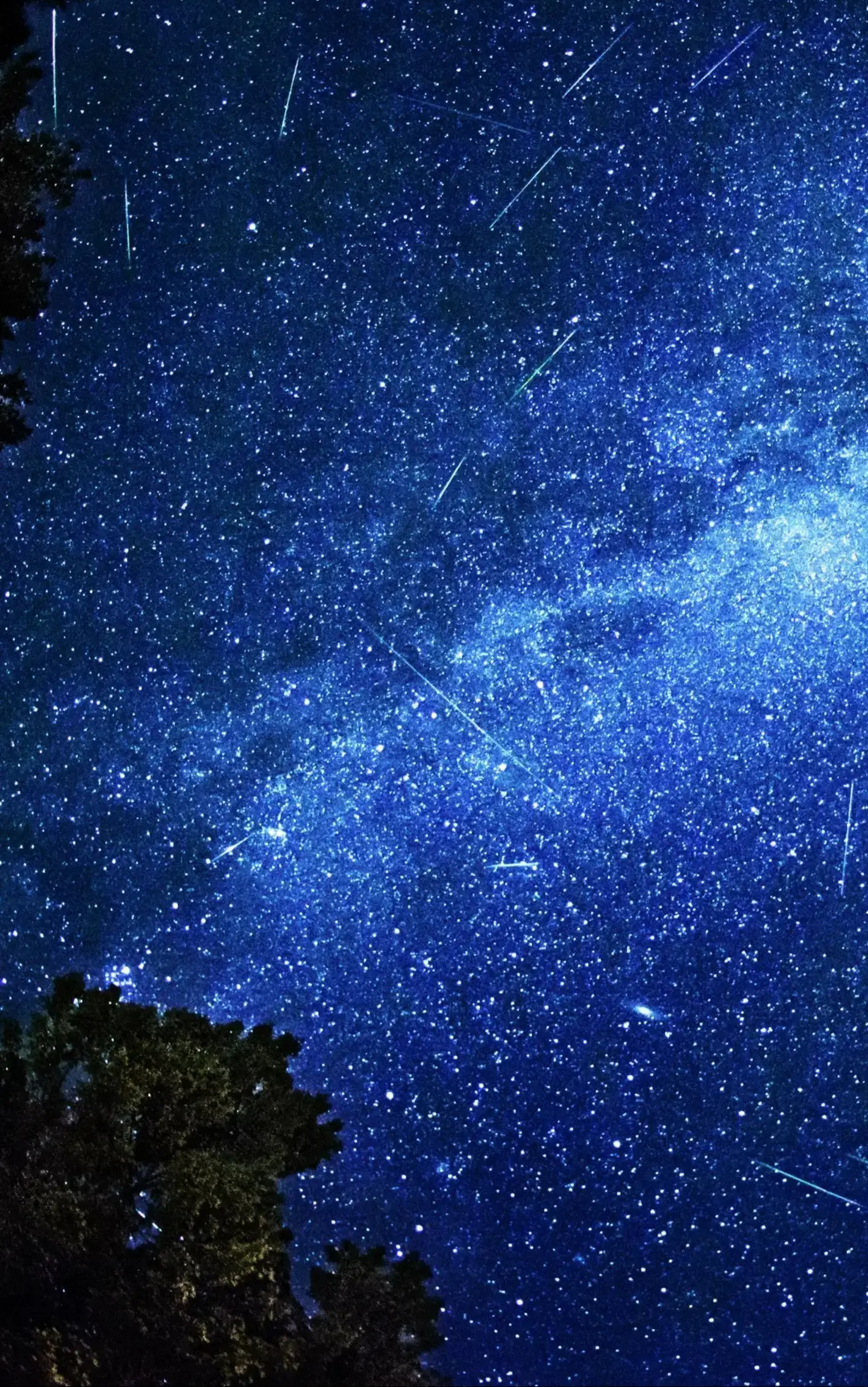 NASA Highlights Perseid Meteor Shower Peak Amid Full Moon Challenges