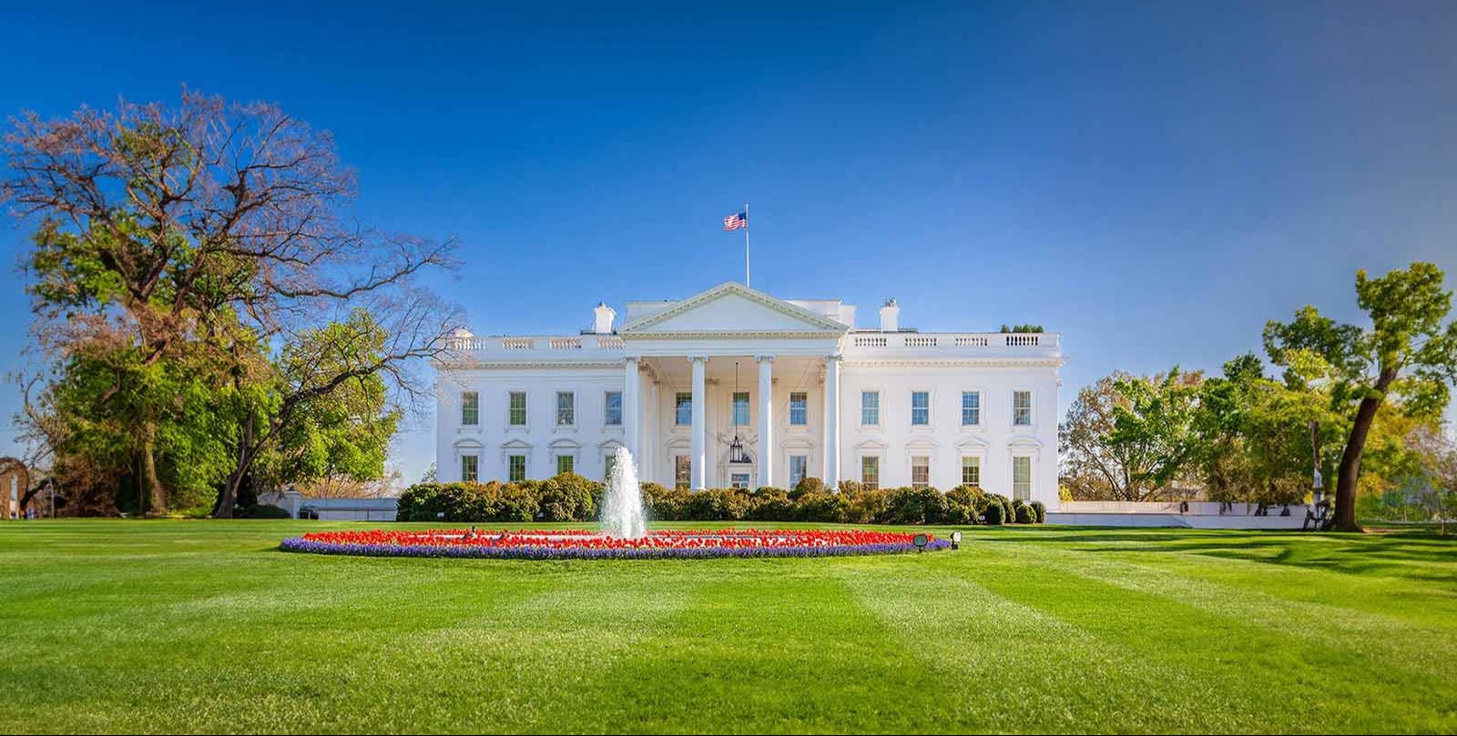 VIDEO | US first lady Melania Trump welcomes 'beautiful' Christmas tree to White House