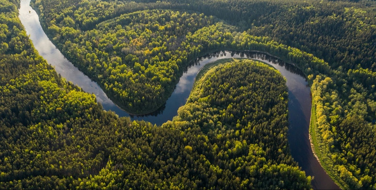 VIDEO | Colombian environmental activist finds ways to protect the Amazon despite threats, armed groups
