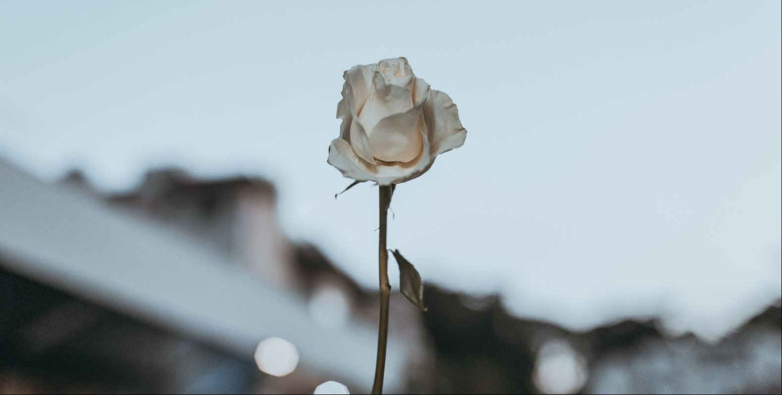 VIDEO | Woman killed by ICE agent in Minneapolis was a mother of 3, poet and new to the city