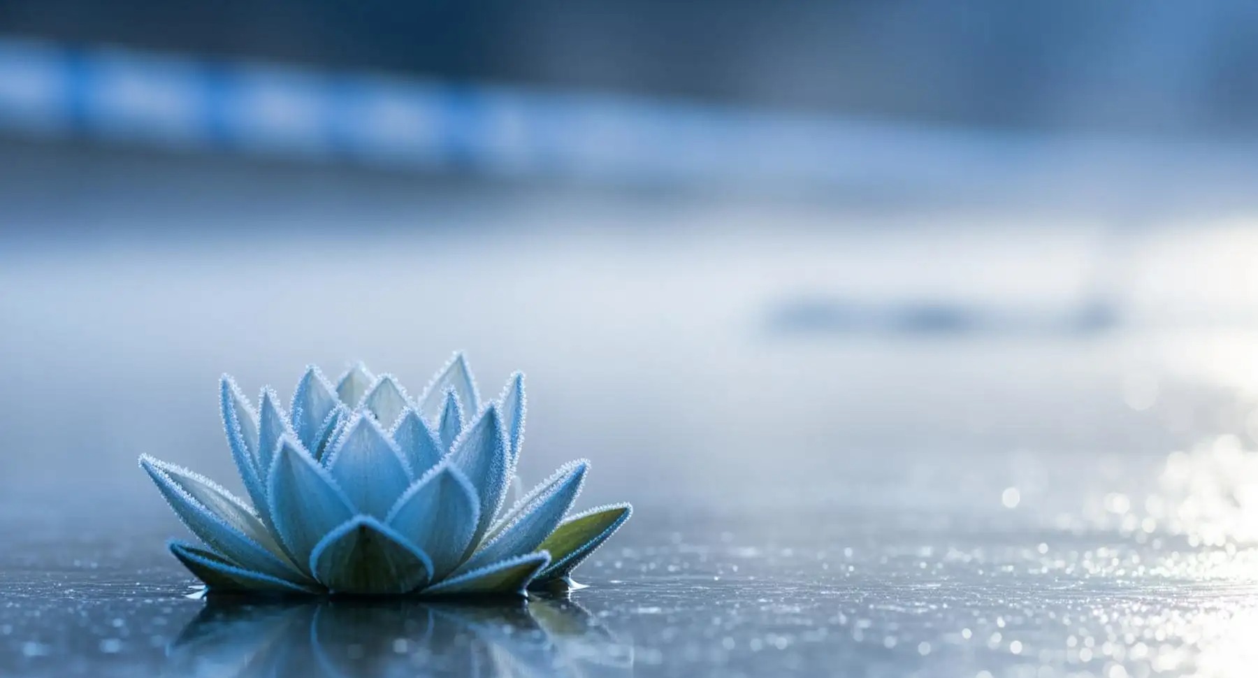 Cold Waves in Thailand Pose Greater Mortality Risk Than Heat Waves