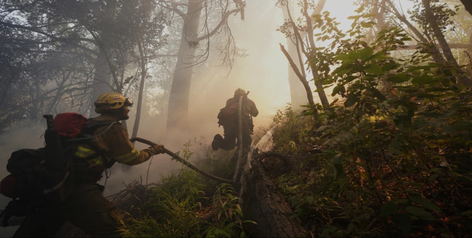 Argentina fires ravage pristine Patagonia forests, fueling criticism of Milei's austerity