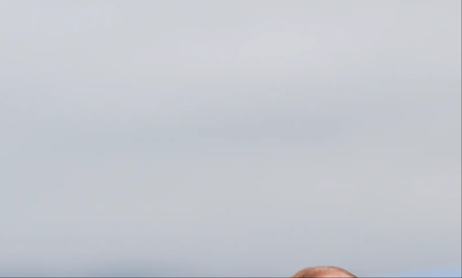 After a year of Trump, EU leaders begrudgingly learn to live with the reality of an unreliable ally