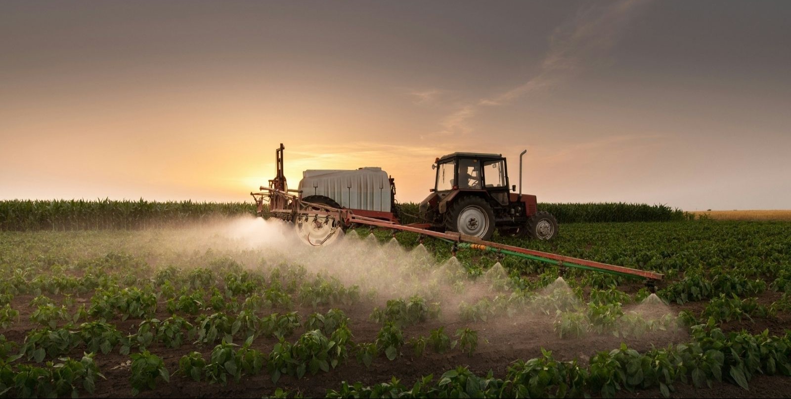 VIDEO | Farmers demonstrate in Brussels against EU-Mercosur trade deal - AP explains