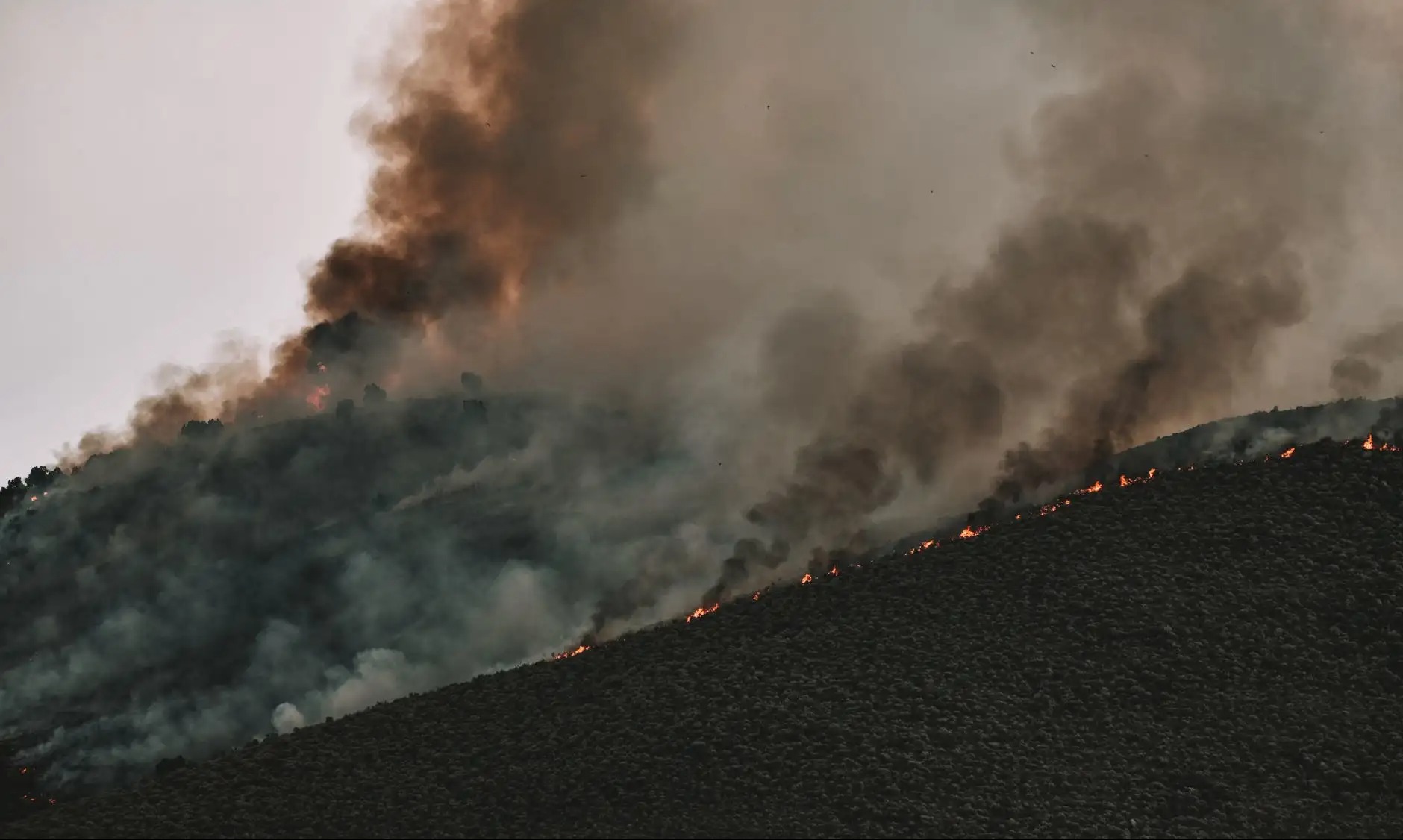 Colorado Declares Disaster Emergency Amid Wildfires and Air Quality Alerts