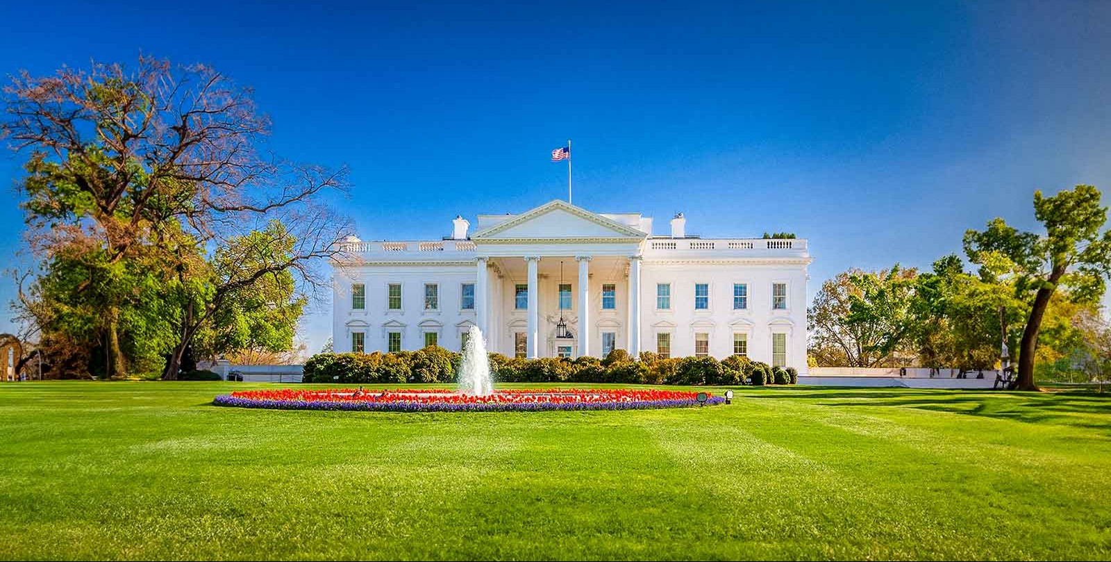 VIDEO | Trump removes nearly 30 career diplomats from ambassadorial positions