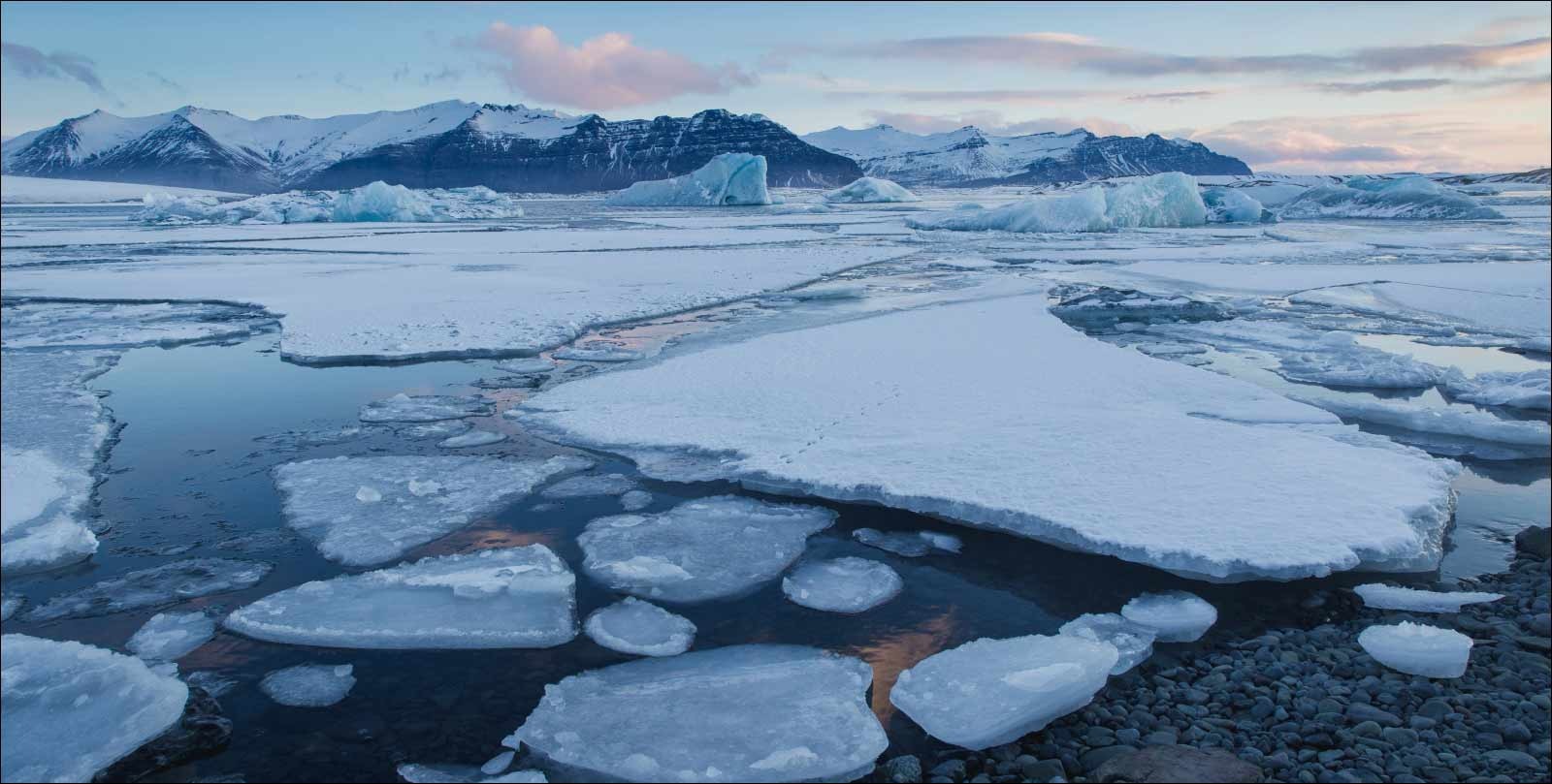 VIDEO | Inside the frozen vault where scientists are preserving the world’s plants for the future
