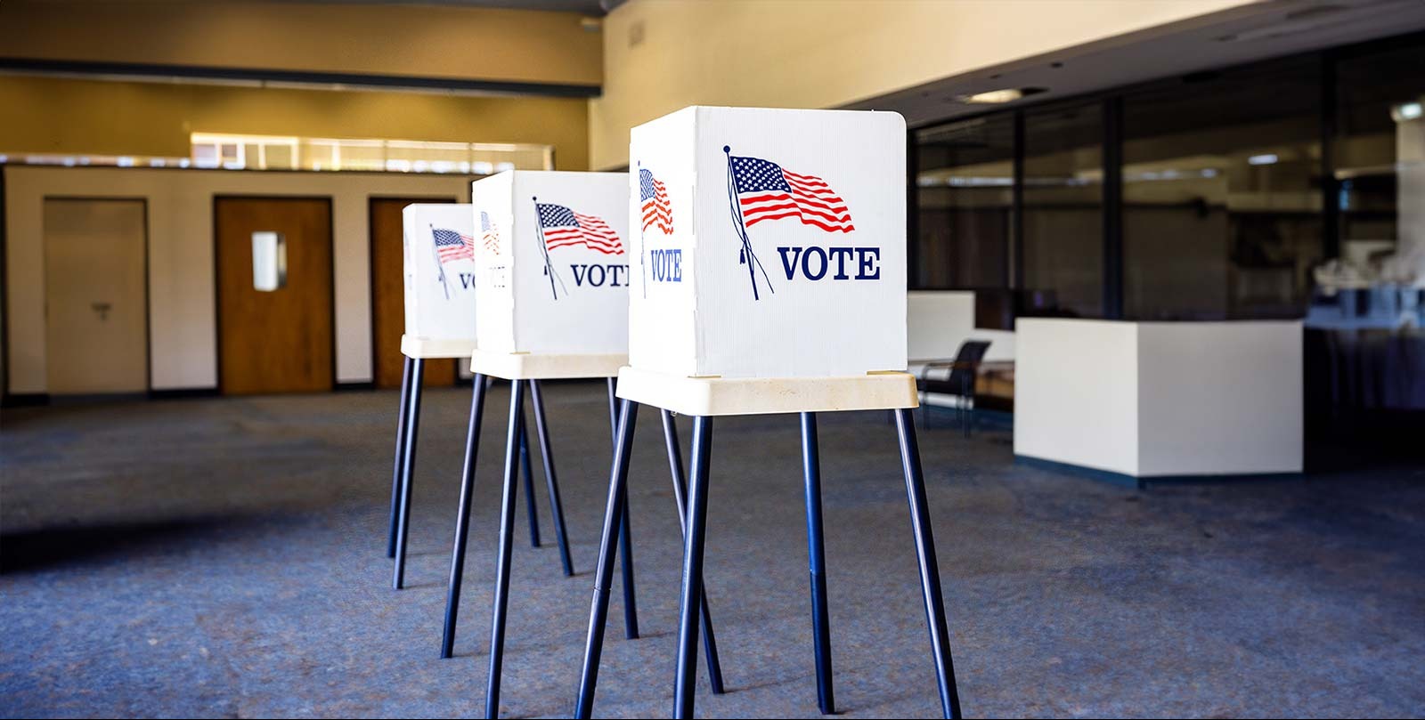 What's on the ballot in the first general election since Donald Trump became president