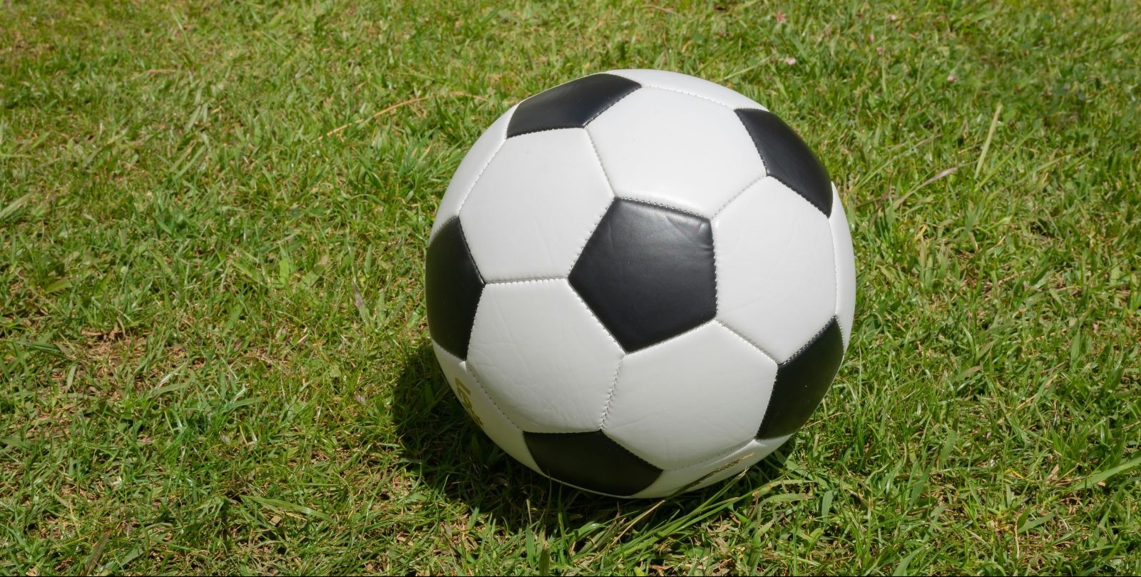 Cómo el club más antiguo del fútbol australiano volvió a la cima