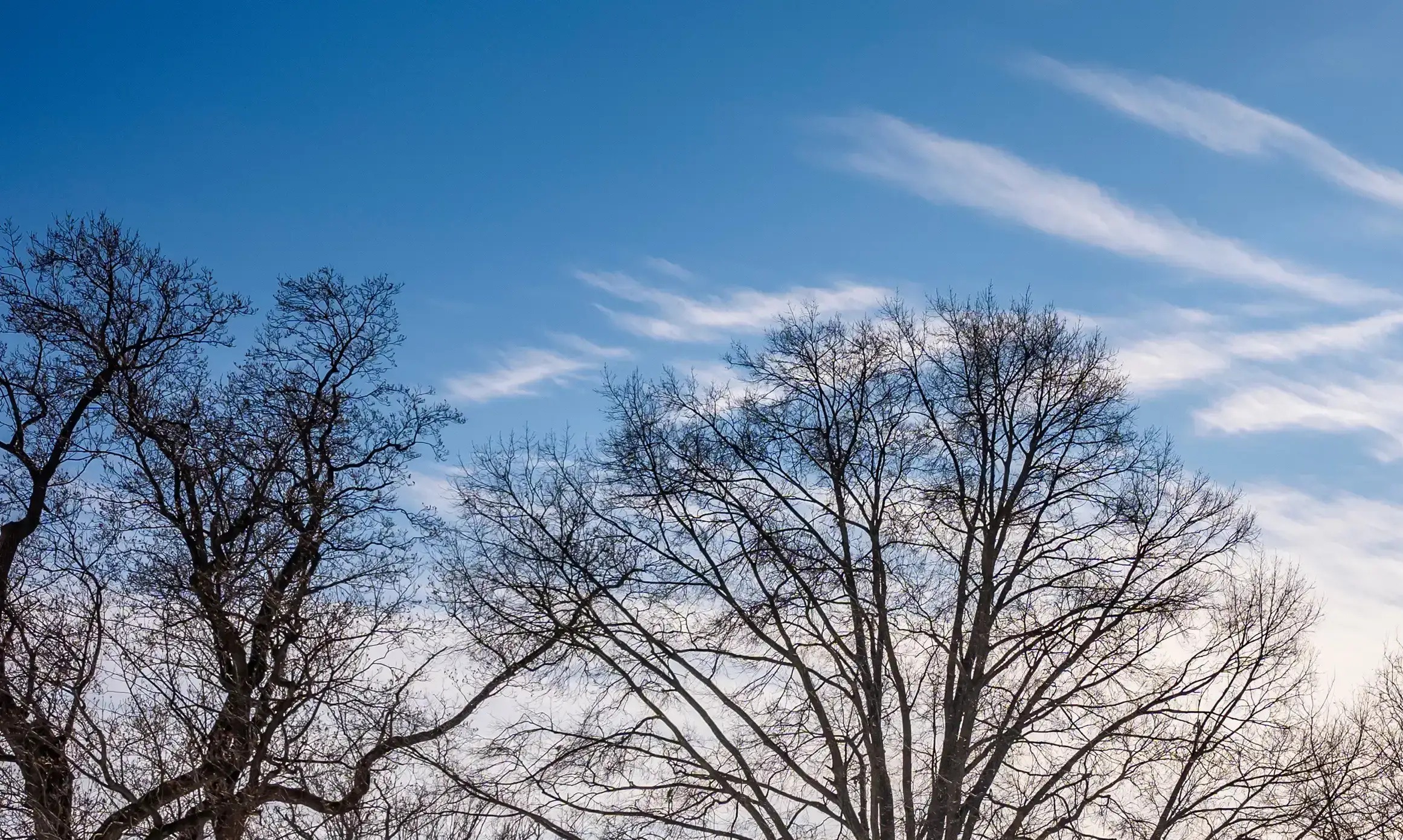 Judge refuses to release man charged with planting pipe bombs on eve of Capitol riot