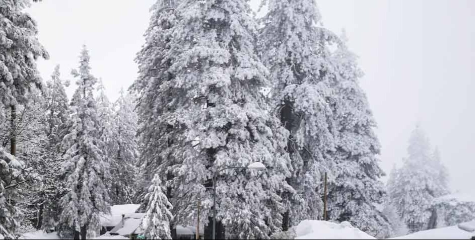 More winter weather leads to heavy snow, canceled flights and, in Florida, falling iguanas