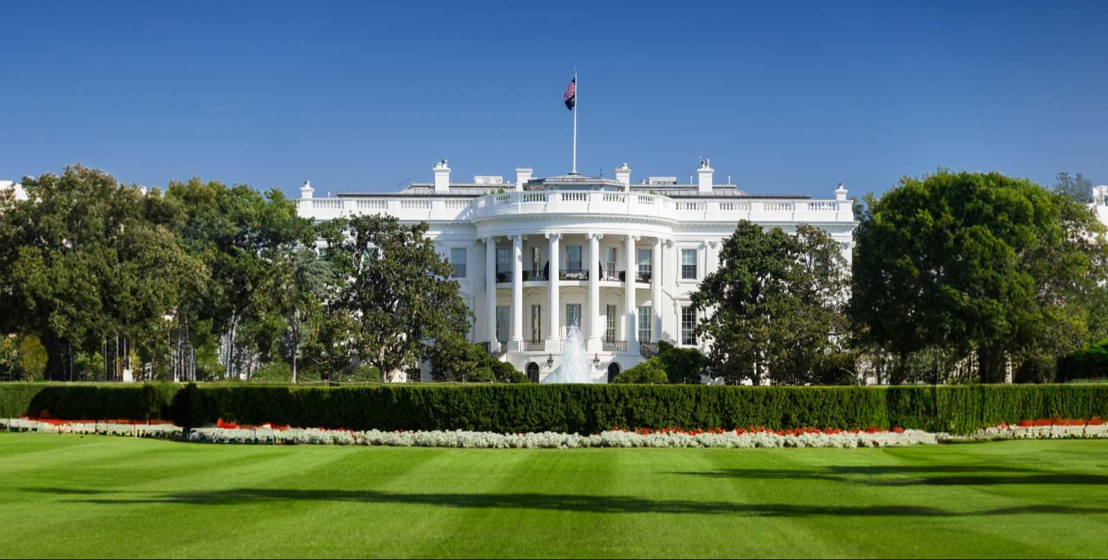 VIDEO | Epstein email says Trump 'knew about the girls' as White House calls its release a Democratic smear