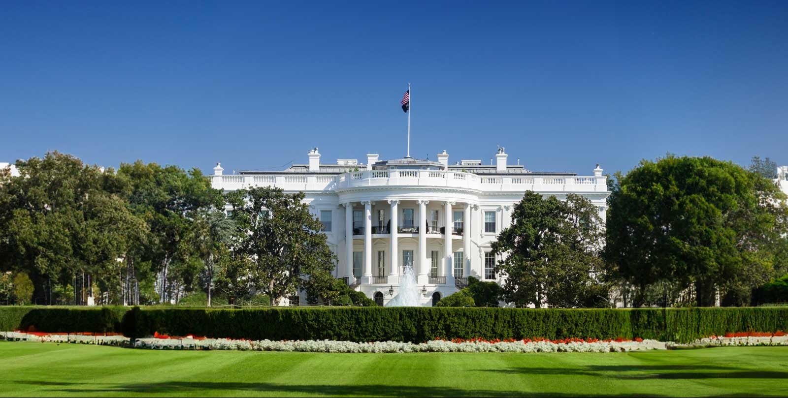 Fed Governor Miran quits White House job