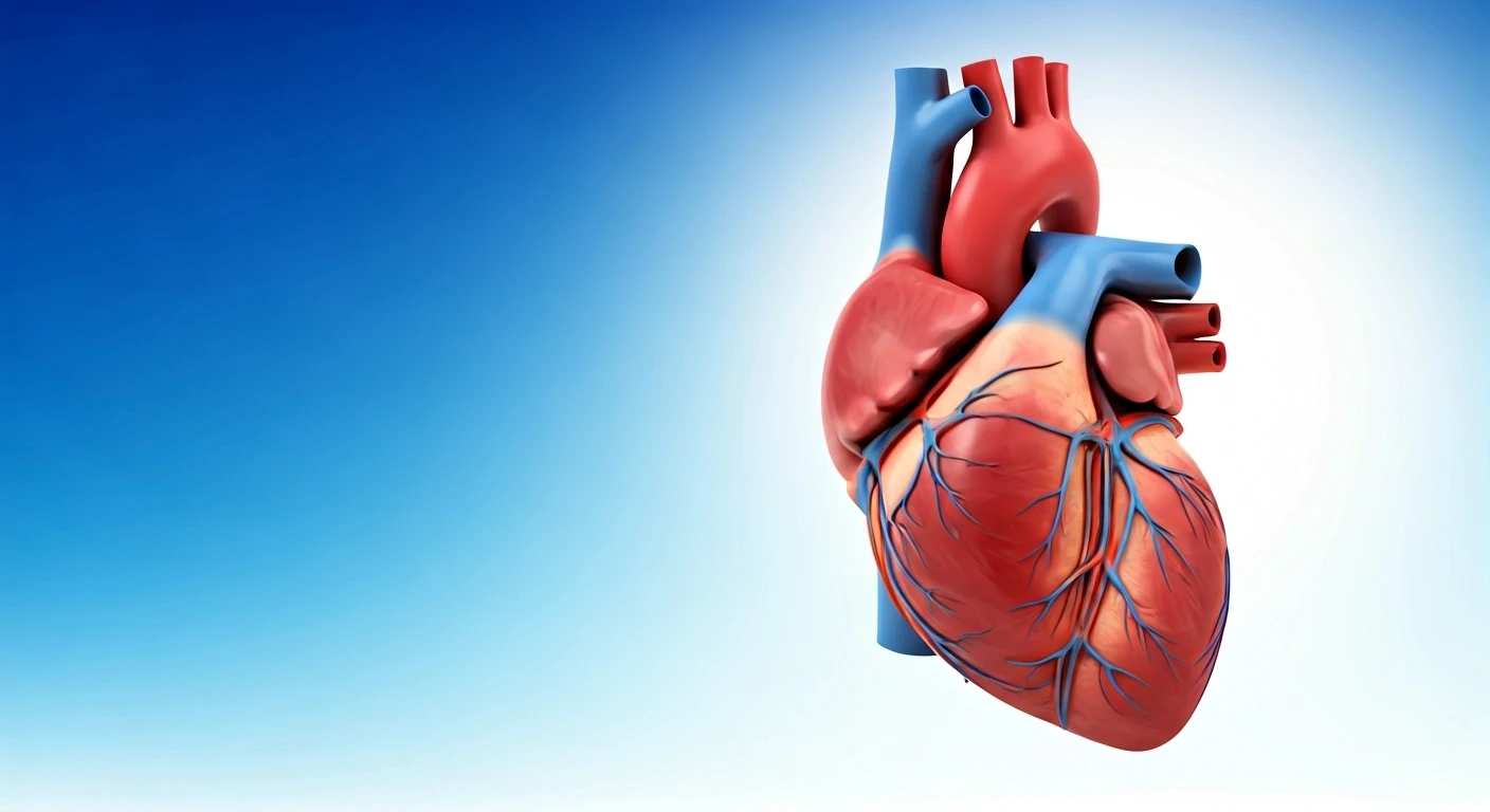 Prevent Heart Disease with These Easy Steps